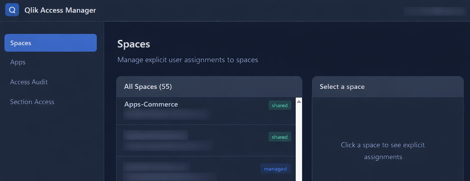 Qlik Access Manager spaces access view